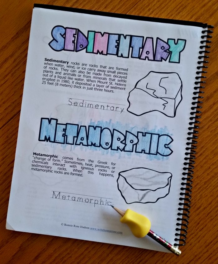 Learning about sedimentary and metamorphic rocks in the Learning About Science collection (Level 3) from WriteBonnieRose