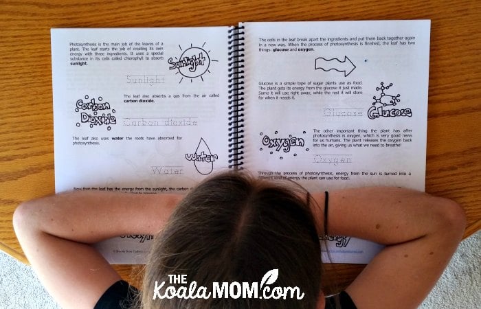 Sunshine reading her homeschool science from WriteBonnieRose