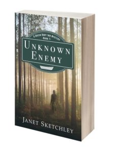 Unknown Enemy: a Green Dory Inn Mystery by Janet Sketchley