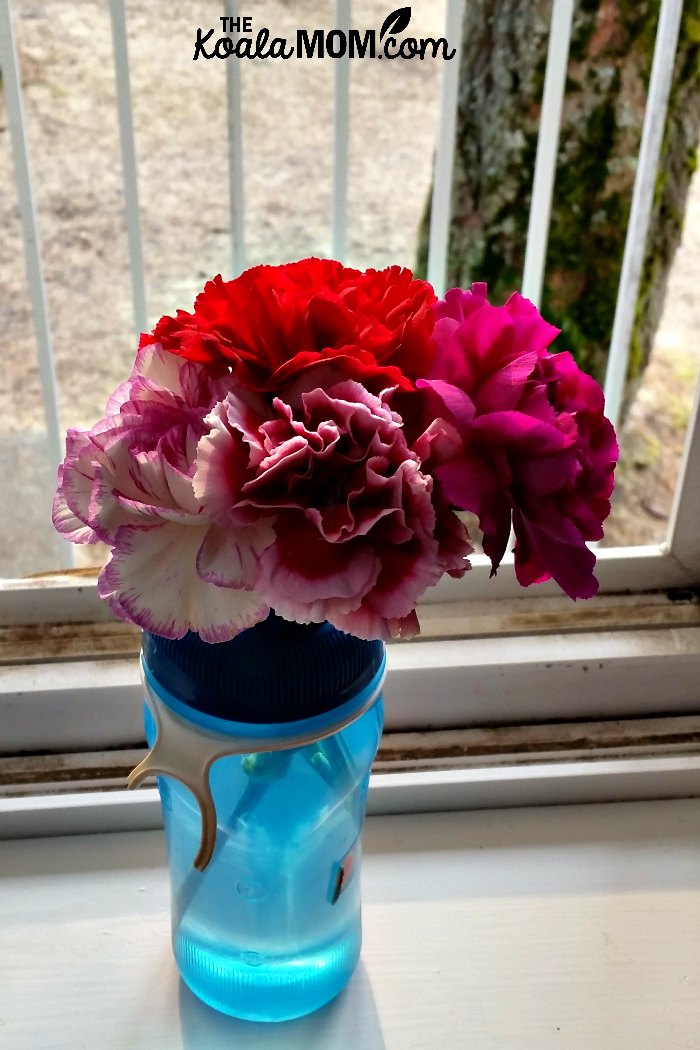 Carnations in the dorm room window.