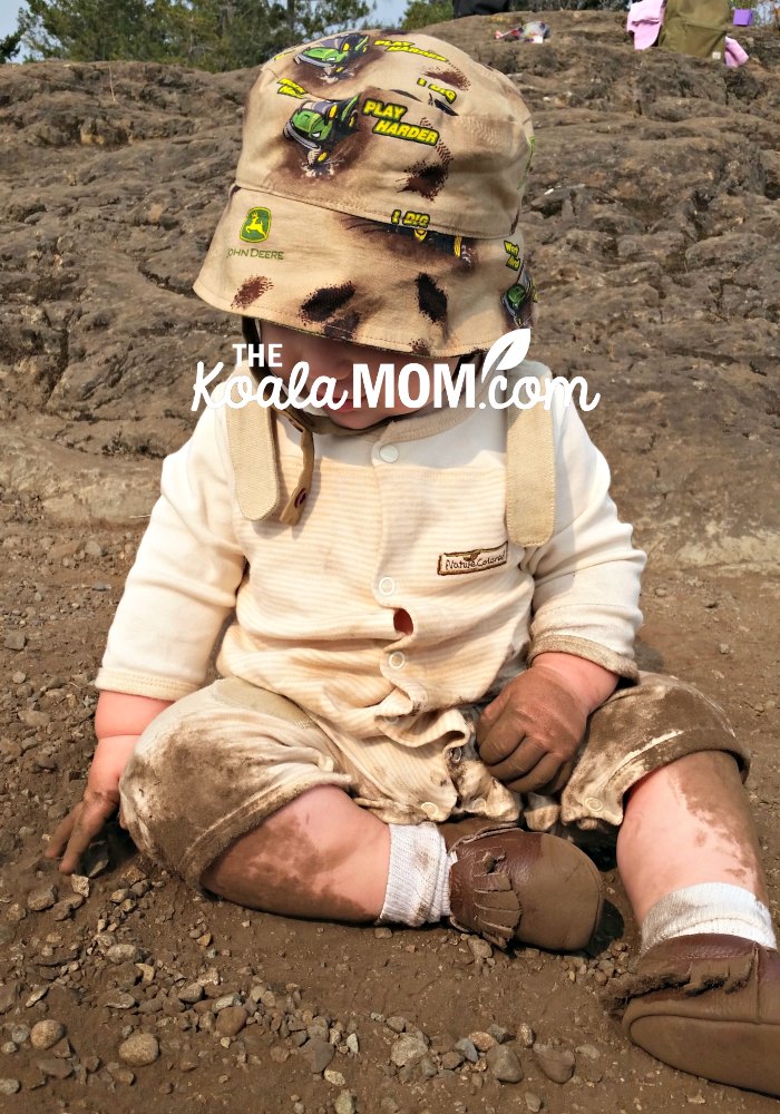 Joey playing in the dirt at the top of Mt. Finlayson