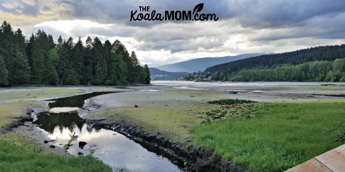 Views of the Burrard Inlet from the Shoreline Trail in Port Moody (one of the easy, family-friendly hikes around Greater Vancouver)