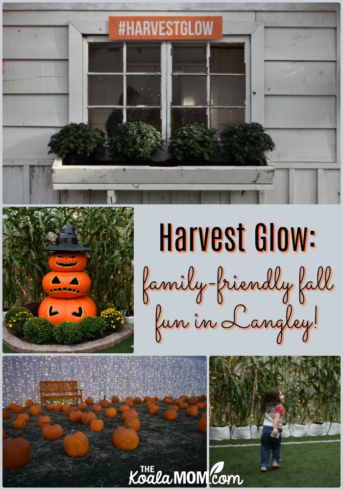 Harvest Glow: family-friendly fall fun in Langley, BC