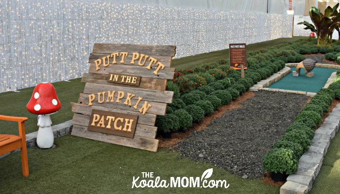 Putt-putt in the pumpkin patch at Harvest Glow