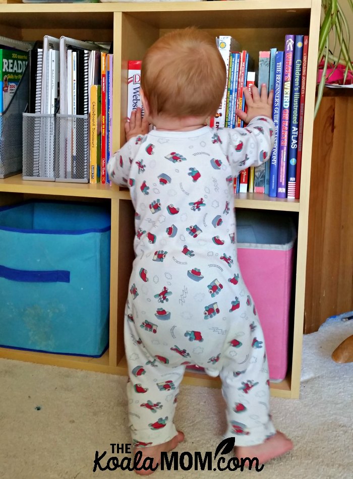 Joey looks at our encyclopedias.