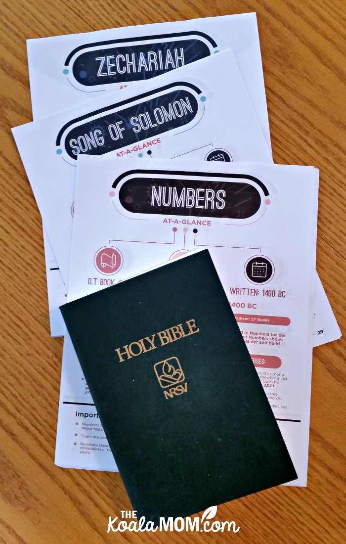 Books Of The Bible At A Glance 66 Printable Bible Reference Sheets