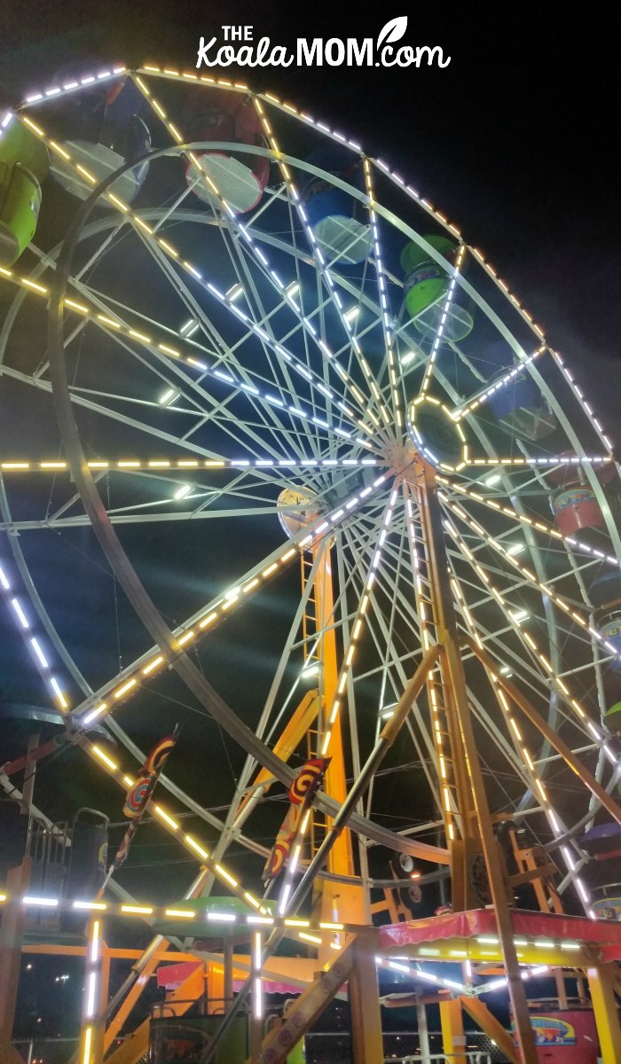 The ferris wheel at the Aurora Winter Festival in downtown Vancouver.