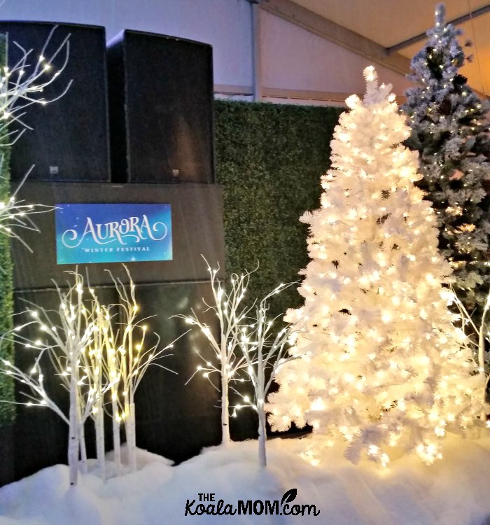 Pretty Christmas trees at the Aurora Winter Festival in downtown Vancouver.