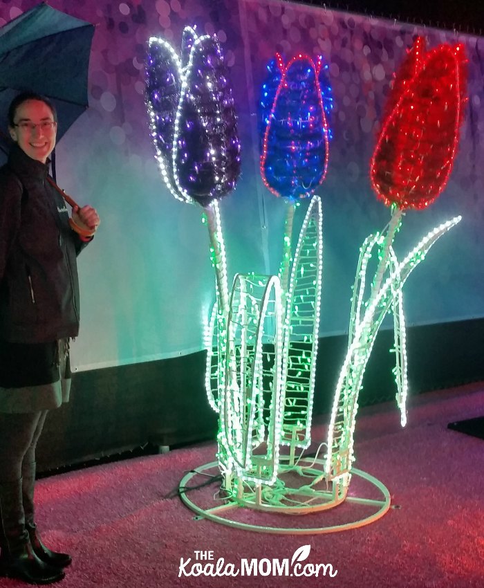 Flower lights at the Aurora Winter Festival in Vancouver, BC.