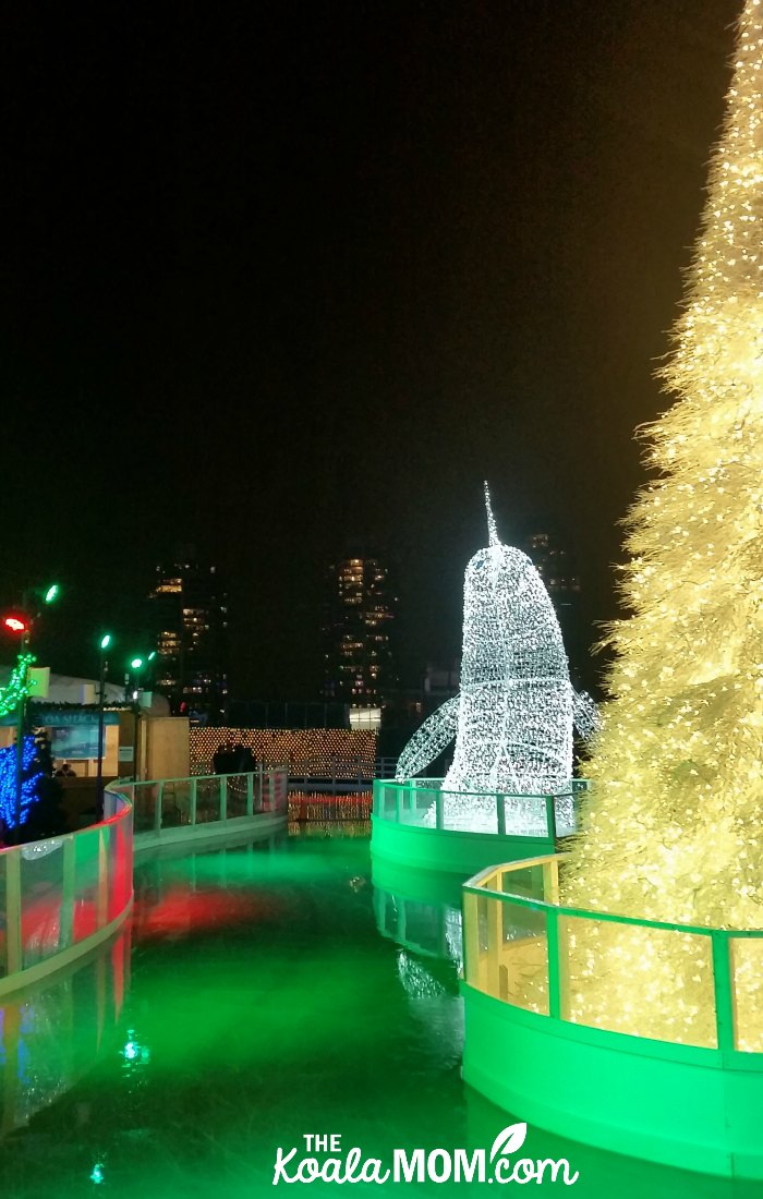 The frozen river at the Aurora Winter Festival.