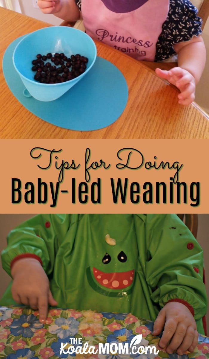 Baby-led weaning approaches learning through food, for mothers and