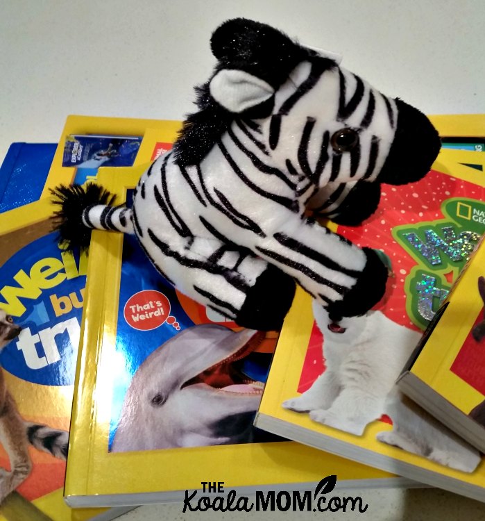 Stuffed zebra sitting on a pile of National Geographic Kids' Weird But True! books.