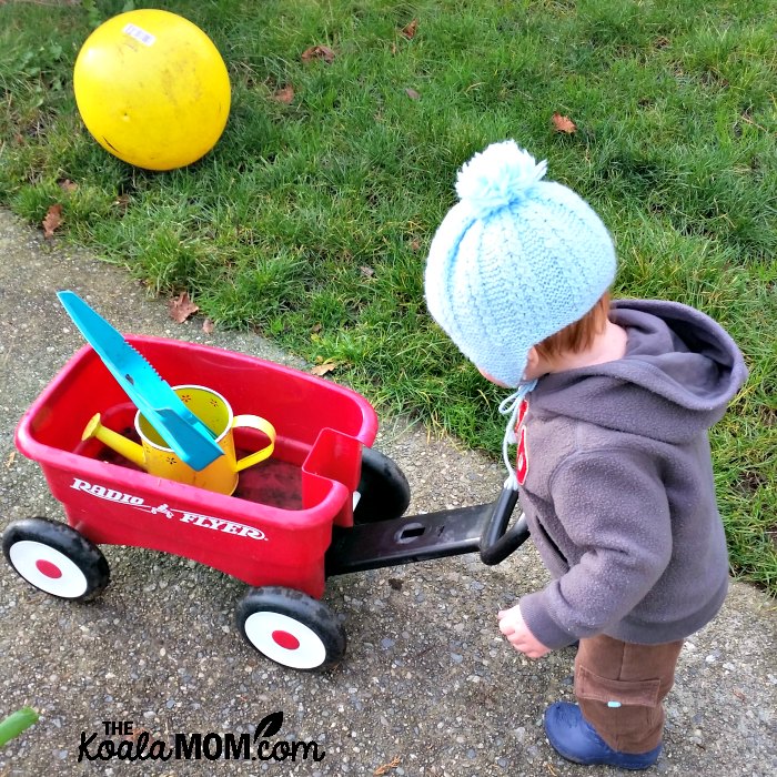 A boy with his little red wagon.