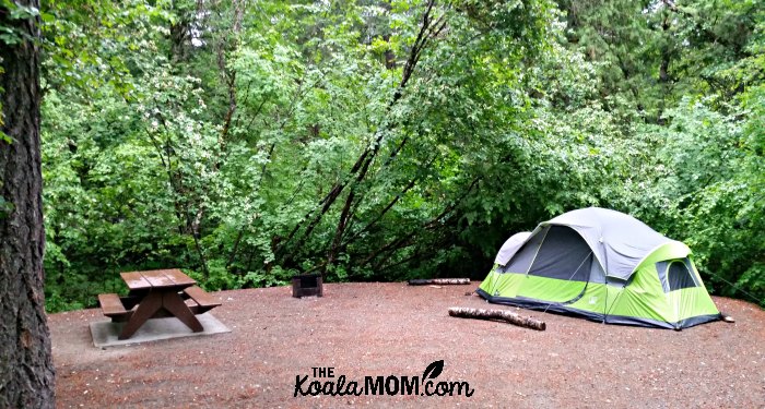 Green tent, picnic table and firepit at Nairn Falls Campground