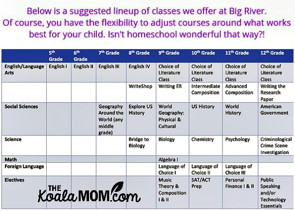 A class schedule for Big River Academy, showing courses by grade and subject level.