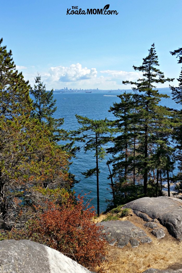View of Vancouver from Lighthouse Park.