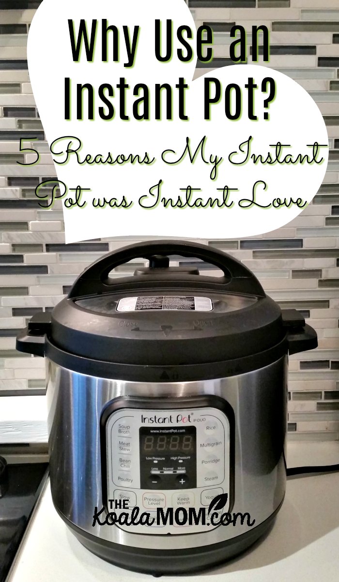 Why Use an Instant Pot? 5 Reasons My Instant Pot was Instant Love