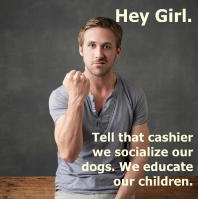 Ryan Gosling: "Hey girl, tell that cashier we sociallize our dogs. We educate our children."