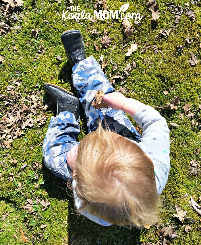 Baby sitting on lawn, playing with a brown leaf.