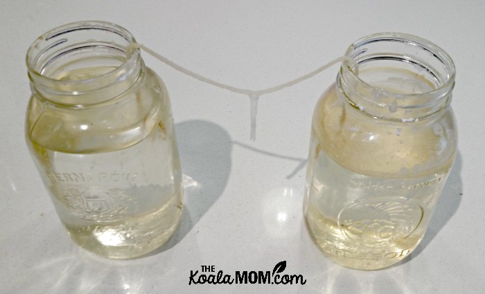 Stalactite experiment growing between two Mason jars on a kitchen counter.