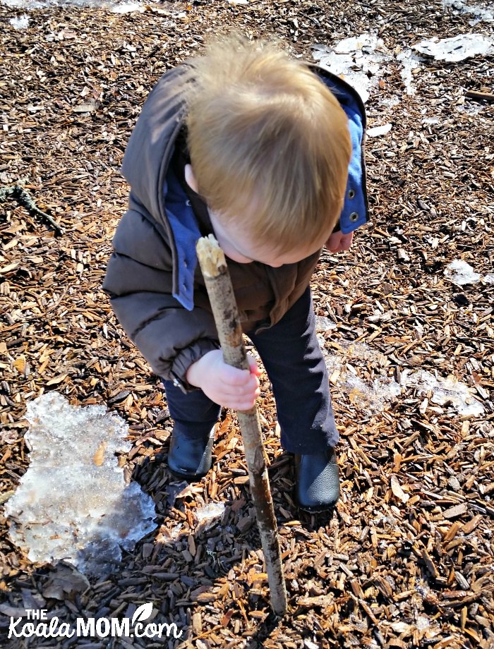 Baby playing in wood chips with a big stick.