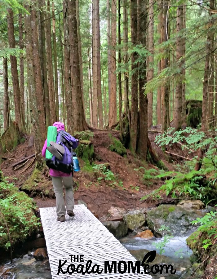 Hiker crossing a bridge on the West Canyon Trail.