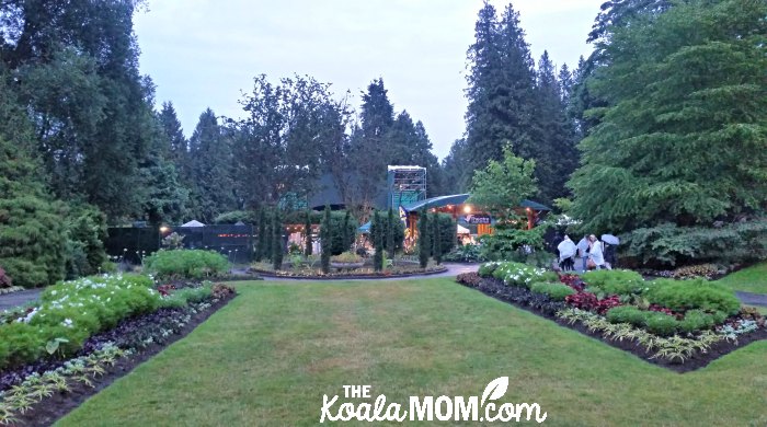 The beautiful setting of TUTS in Vancouver's Stanley Park.