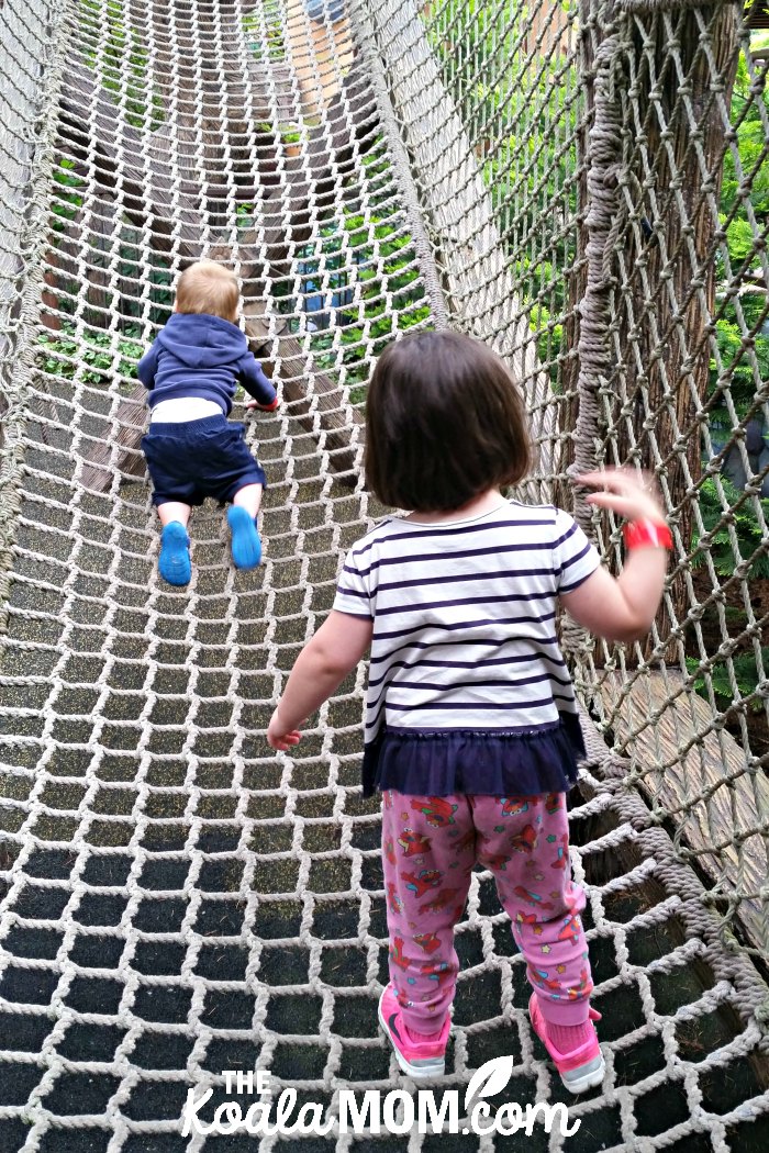 Toddlers climbing a rope net in the Wilderness Trail.