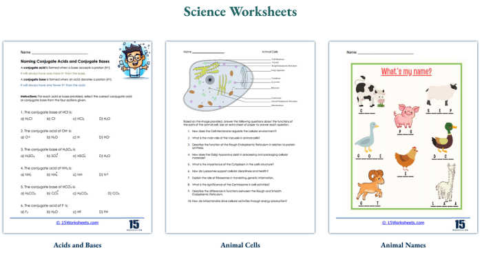 Screenshot of free science printables from 15 Worksheets