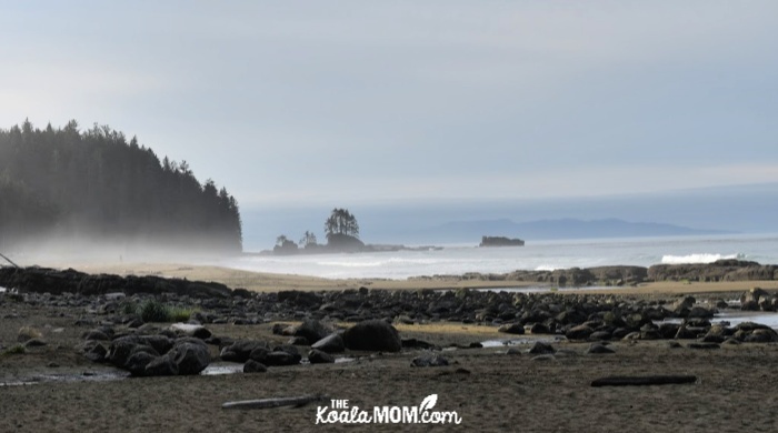 Ocean views from Cribs Creek.