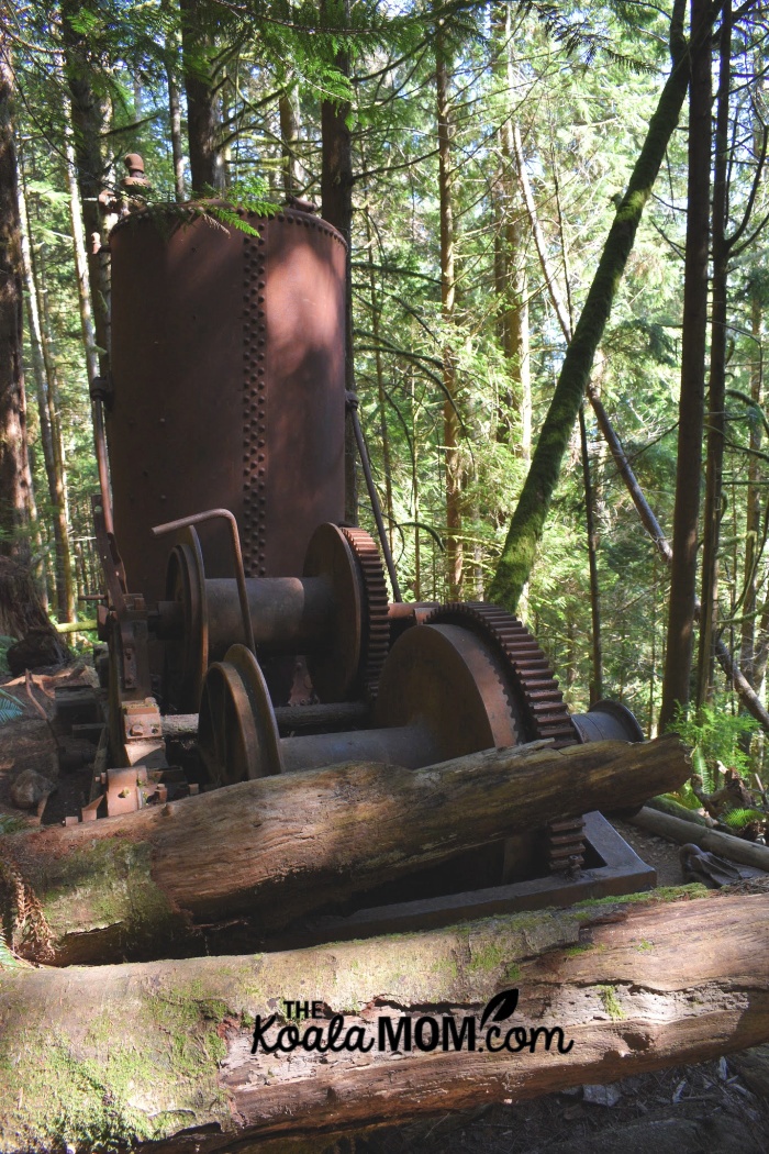 A derelict donkey engine on the west coast.