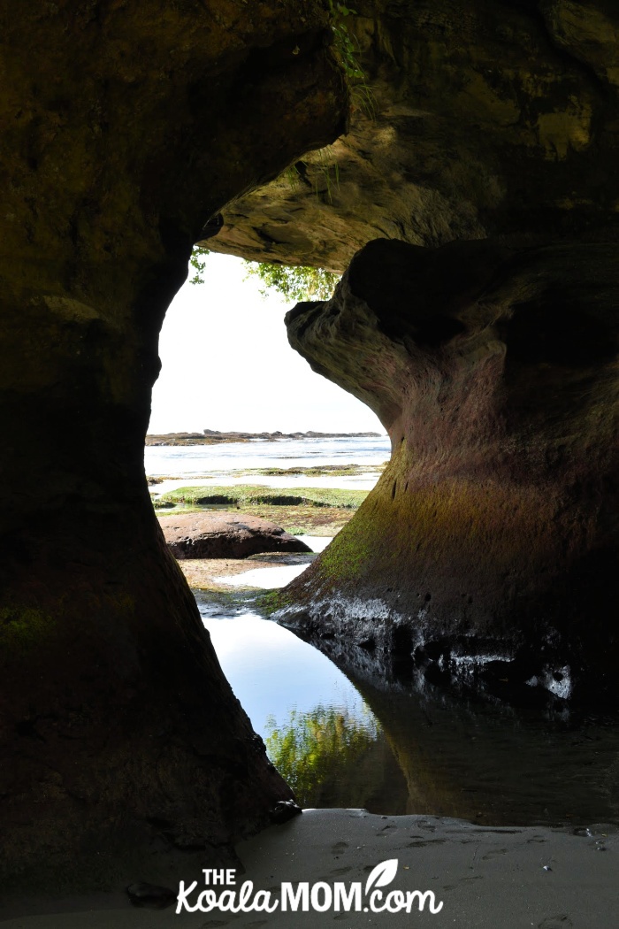 Sea cave at Owen Point on the West Coast Trail.