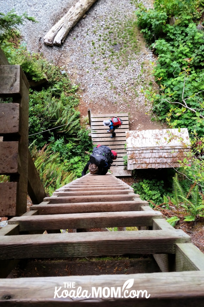 First ladder on the West Coast Trail