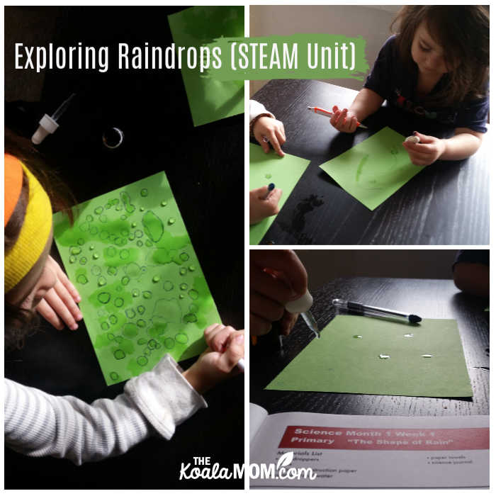 Exploring raindrops (STEAM unit study)