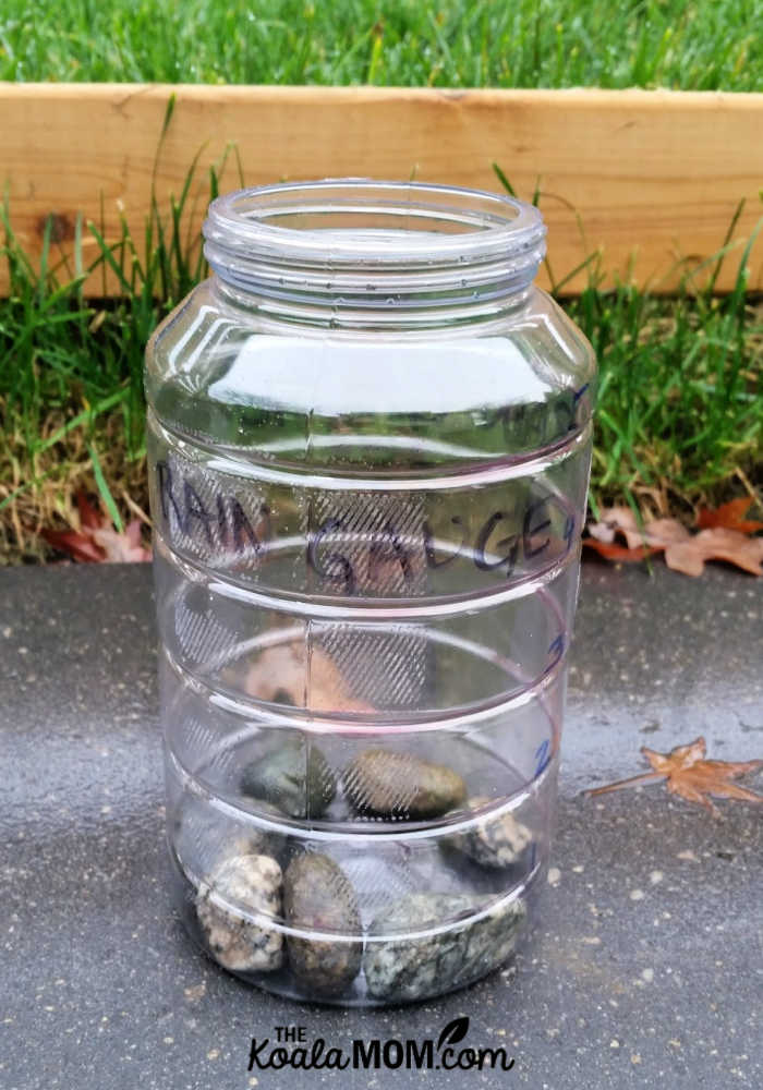 DIY rain gauge for science