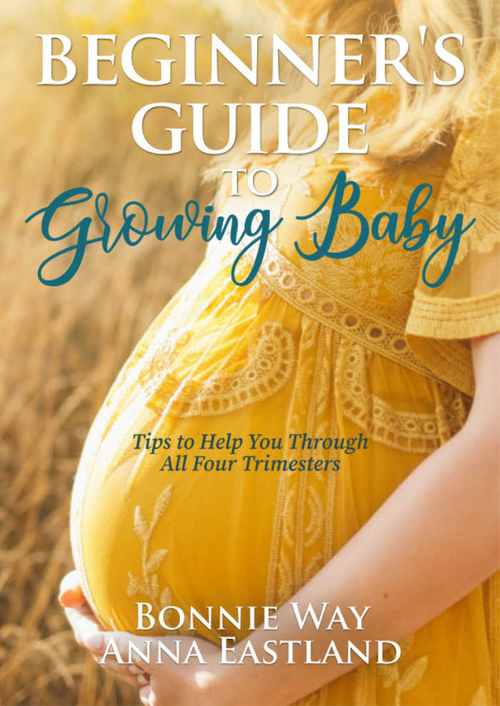 Beginner's Guide to Growing Baby : Tips to Help You through all Four Trimesters by Bonnie Way and Anna Eastland (a book about pregnancy, birth and beyond!)
