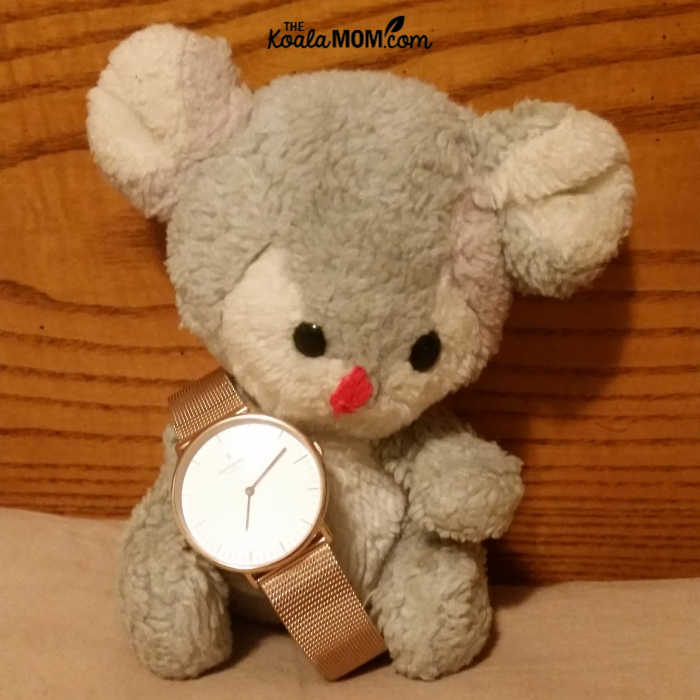 Koala stuffie with a Nordgreen watch.