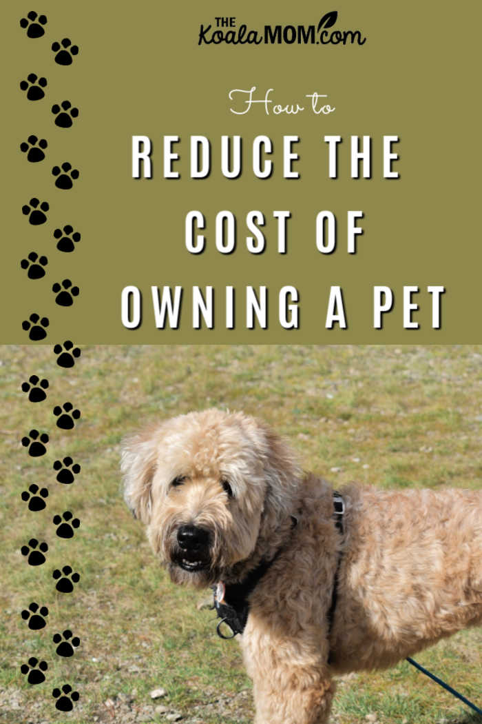 How to reduce the cost of owning a pet.