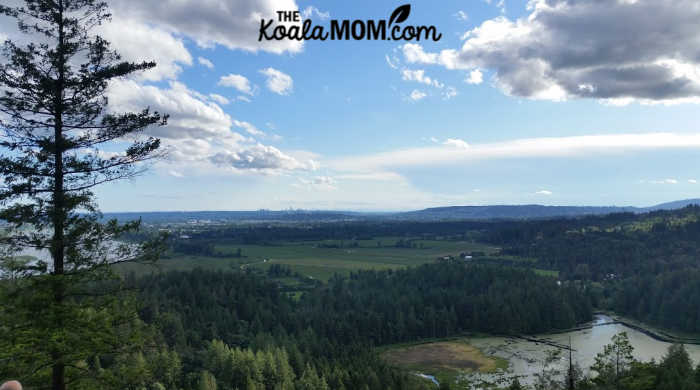 Views from the High Knoll Trail.