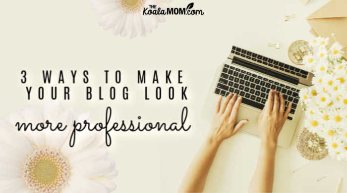 3 Ways To Make Your Blog Look Professional • The Koala Mom