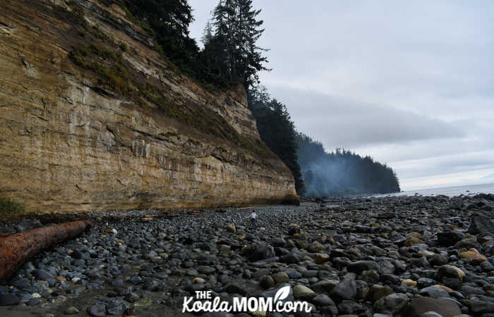 Bear Beach