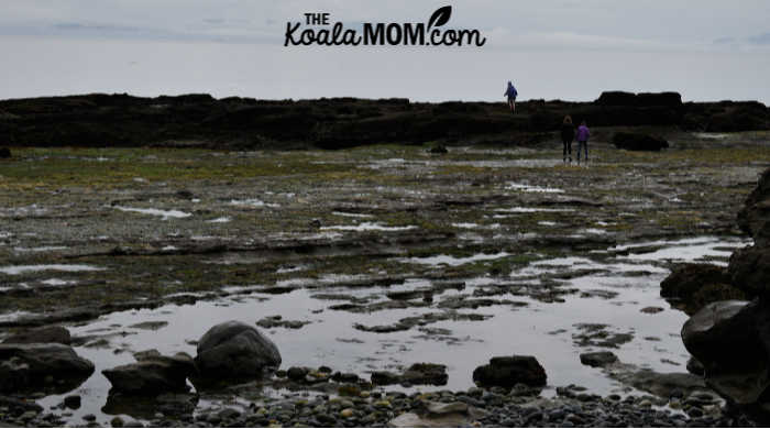 Low tide on Chin Beach.