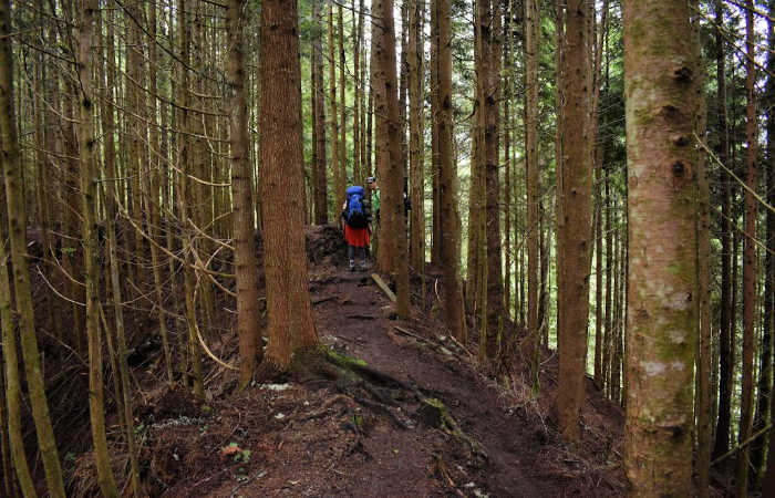 Day 1 on the Juan de Fuca Trail.