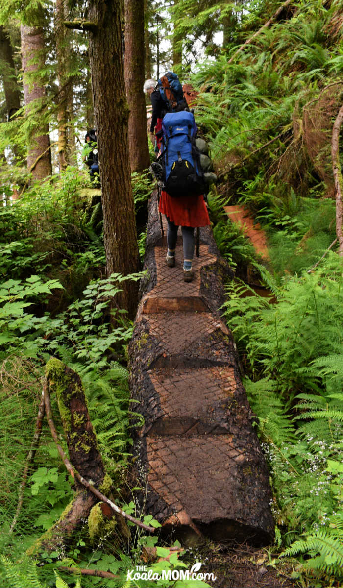 Hikers on a log bridge.