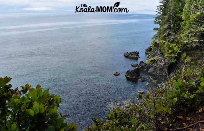 Ocean views on the Juan de Fuca Trail.