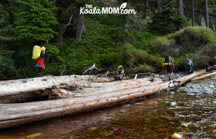 Crossing the logs over the river at Bear Beach.