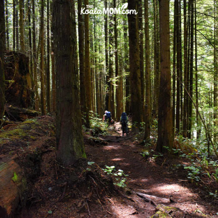 Two hikers on the Juan de Fuca trail.