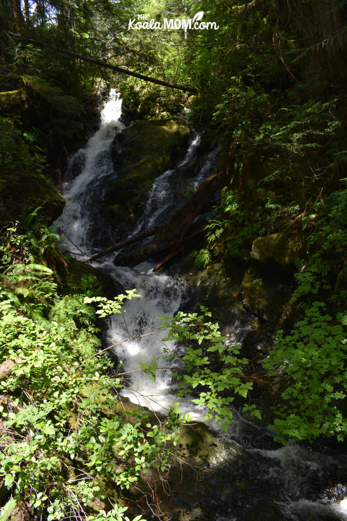 Waterfall on the Juan de Fuca Trail.