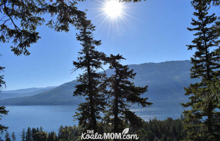 A view of Shuswap Lake from the Upper Canyon Loop Trail.