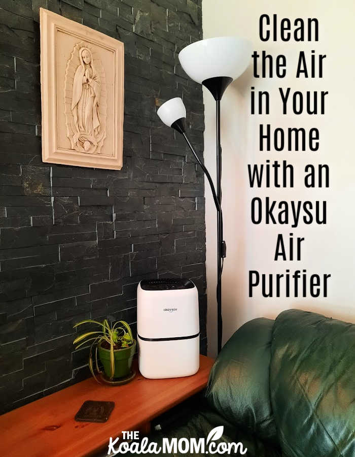 Clean the Air in Your Home with an Okaysou Air Purifier